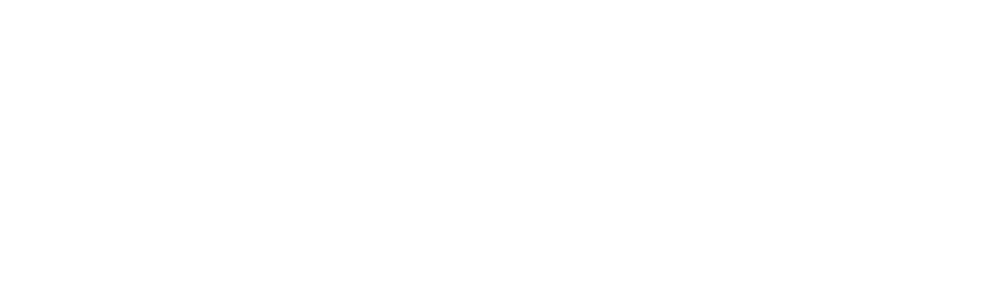 Article 5